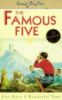 Five Have a Wonerful Time (Famous Five)